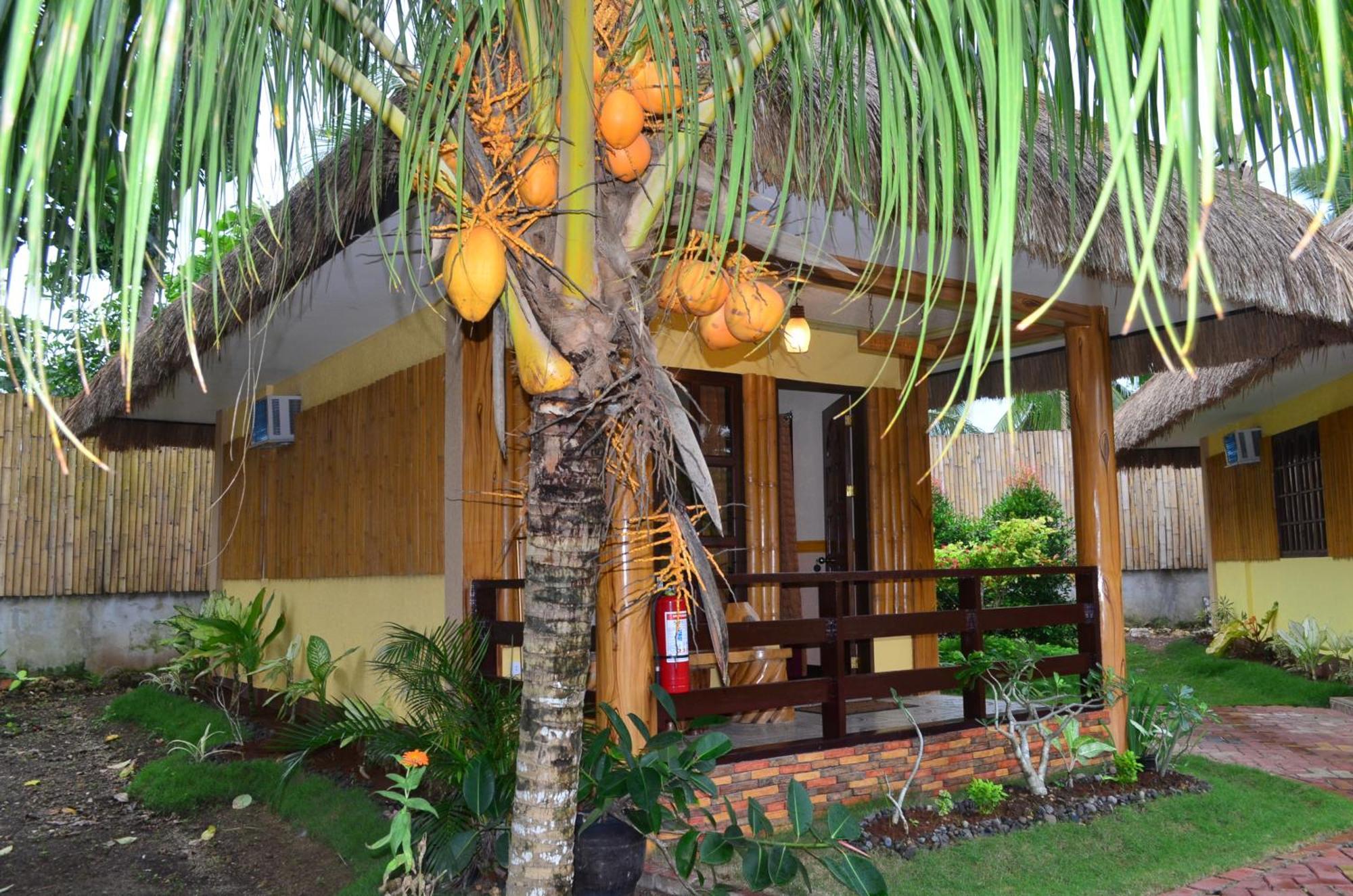 Veraneante Resort Panglao City Quarto foto